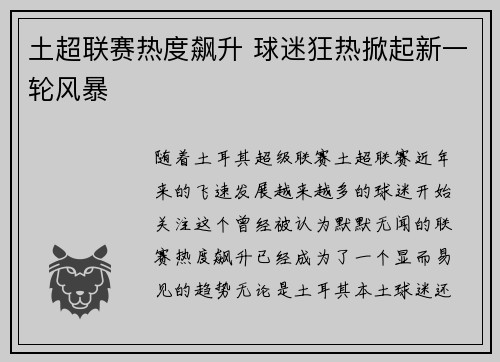 土超联赛热度飙升 球迷狂热掀起新一轮风暴